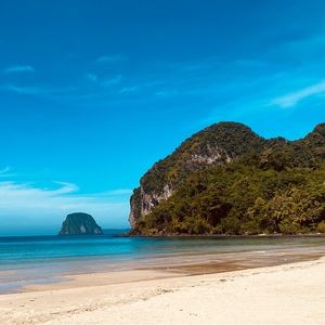 Meet your Posher, Lily